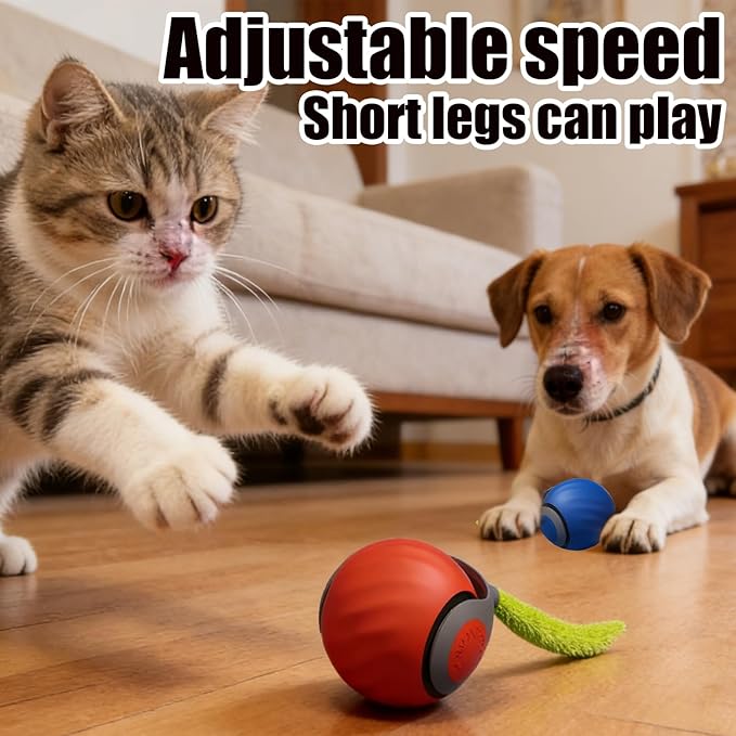 Interactive Cat Toys for Indoor Cats & Dogs, 2025 Newly Upgraded Version Tail 3.0 Cat Toys, Smart Interactive Cat & Dog Toy Ball, Automatic Moving Ball Christmas Birthday Gift for Pets (Orange)