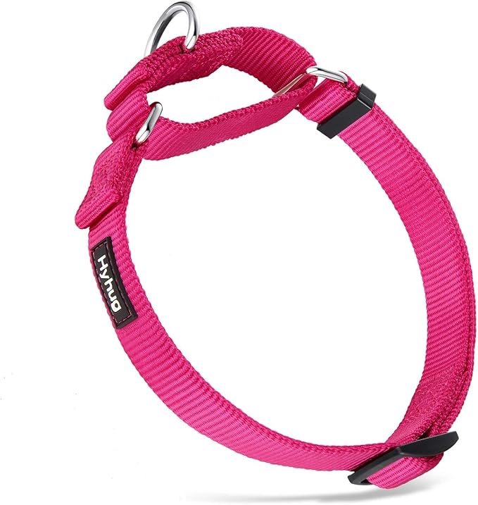 Hyhug Martingale Dog Collar Medium Pink |Escape - Proof Heavy Duty Nylon Durable No Slip, Ideal for Training & Daily Walks