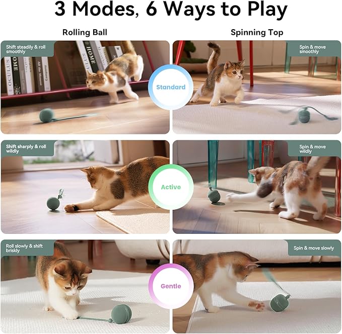 2 in 1 Interactive Cat Toys for Indoor Cats - Wicked Ball Duo2 Automatic Cat Toy, Rolling Ball & Spinning Top, Electric Cat Toy Balls with Chirping Sounds & Speedy Tail, Moving Kitten Toys