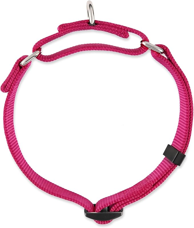 Hyhug Martingale Dog Collar Medium Pink |Escape - Proof Heavy Duty Nylon Durable No Slip, Ideal for Training & Daily Walks