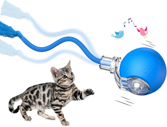 Interactive Cat Toys, Automatic Moving Cat Toys for Bored Indoor Adult Cats, Fast Rolling, Chirping & Motion-Activated Kitty Toys, Fun Gift for Cats with Speedy Tail 2.0, USB Rechargeable (Blue)