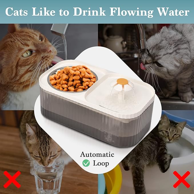 Cat Water Fountain, Cat Feeding & Watering Supplies, Super Quiet Automatic Water Fountain for Cats Inside, Pet Water Dispenser 100oz/3L with Stainless Steel Cats Bowls and Long Life Span Pump