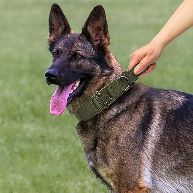 Tactical Dog Collar and Leash Set Heavy Duty Military Dog Collar with Handle and Metal Buckle for Medium and Large Dogs (Army Green, M)