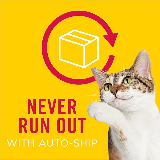 Purina Friskies Shreds With Whitefish and Sardines in Sauce Wet Cat Food - (Pack of 24) 5.5 oz. Cans