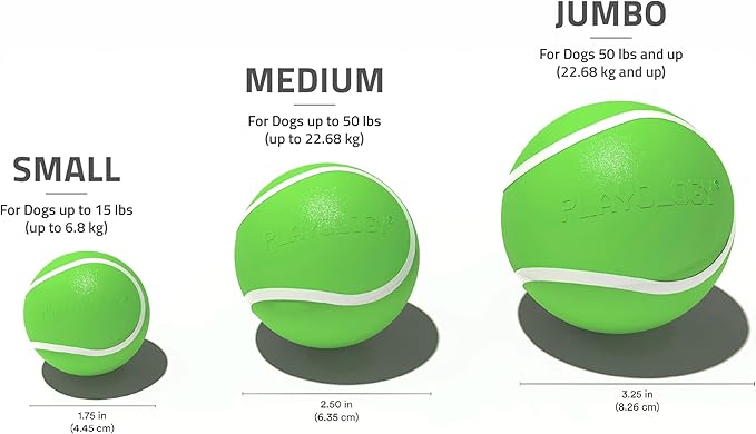 Playology Dog Toys | Squeaky Chew Ball - Bouncy Durable Floating Fetch Ball for Dogs | Jumbo Mom's Turkey Scented Toy - Easy to Clean and Made from Non Toxic Materials