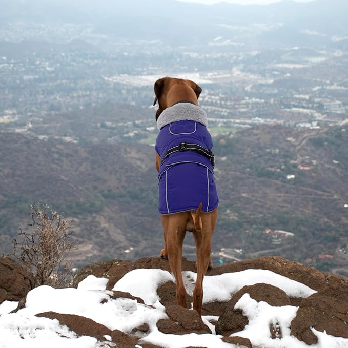 Lelepet Warm Dog Winter Coat Waterproof Dog Jacket with Adjustable Buckle & Leash Hole Reflective Pet Fleece Snowsuit Turtleneck Windproof Cold Weather Coats, Blue, XXL