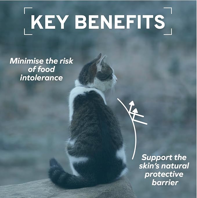 Forza10 - Cat Food, Vet-Approved Hypoallergenic Wet Cat Food, Non GMO, Salmon Flavor, Adult Cats with Allergies, Skin & Coat Support, Made in Italy (3.5 oz, 32 Pack)