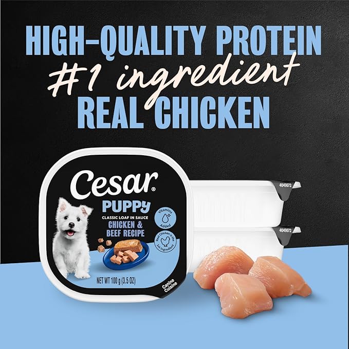 Cesar Puppy Classic Loaf in Sauce Wet Dog Food, Chicken & Beef Recipe, 3.5 oz. Easy Peel Trays, Dog Food Toppers, 24 Count