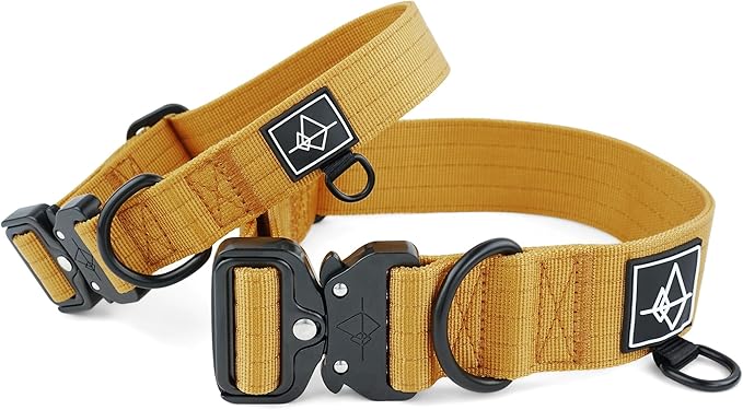 Made to ROAM Premium Dog Collar - Adjustable Heavy Duty Nylon Collar with Quick-Release Metal Buckle (Michigan Autumn, Classic Size 3)