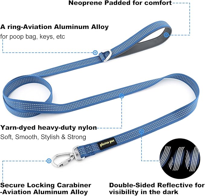 Plutus Pet Heavy Duty Dog Leash with Lockable Aluminum Carabiner, 4/6 Feet Long, Double-Sided Reflective Nylon, Padded Handle, for Puppy, Small, Medium and Large Dogs (Blue, 1" x 4')