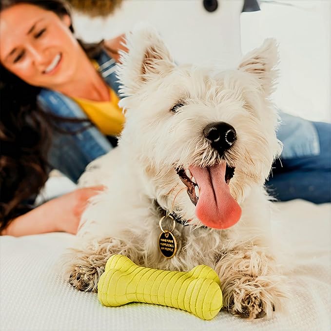 Playology Dog Toys | Dual Layer Bone Durable Chew Toy Bone for Dogs (Value 2-Pack) | Medium Chicken Scented Toy - Easy to Clean and Made from Non Toxic Materials