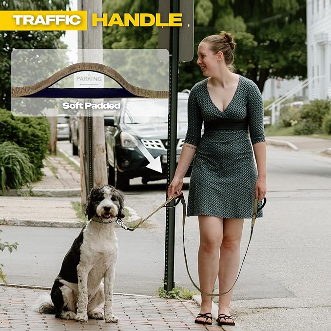 Fida 6 FT Heavy Duty Dog Leash with 2 Comfortable Padded Handles, Traffic Handle & Advanced Easy Snap Hook, Reflective Walking Lead for Large, Medium & Small Breed Dogs, Brown