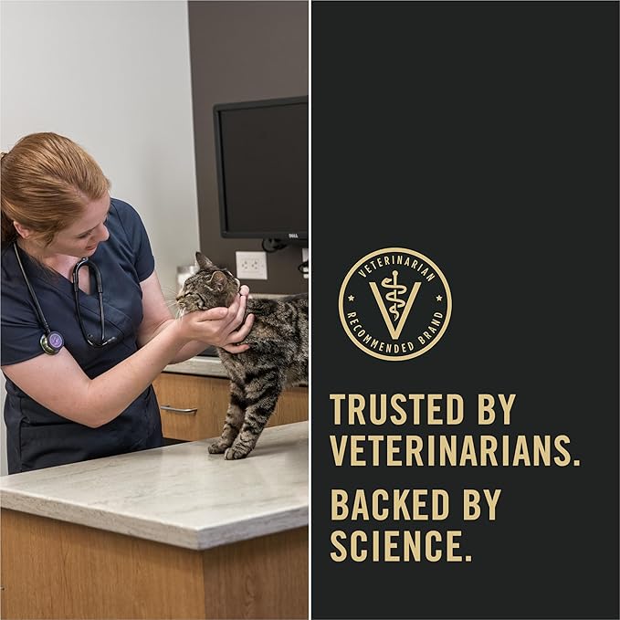 Purina Pro Plan Sensitive Skin and Stomach Cat Food, Lamb and Rice Formula - 7 lb. Bag