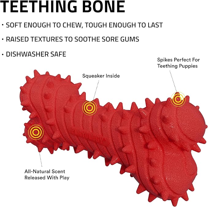 Playology Dog Toys | Puppy Toy Teething Bone Designed for Young & Active Dogs | Small Beef Scented Toy Made from Non Toxic Materials