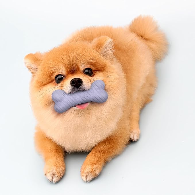 Playology Dog Toys |Dual Layer Bone Durable Chew Toy Bone for Dogs | Small Lamb Scented Toy - Easy to Clean and Made from Non Toxic Materials