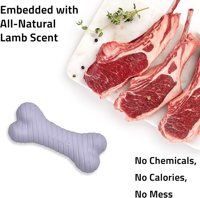 Playology Dog Toys |Dual Layer Bone Durable Chew Toy Bone for Dogs | Small Lamb Scented Toy - Easy to Clean and Made from Non Toxic Materials