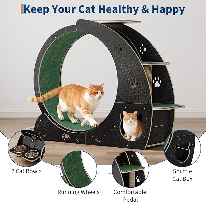 4-in-1 Cat Wheels for Indoor Cats, 40 Inch Large Cat Exercise Wheel, Running Treadmill Wheel with Carpeted Runway, Scratcher
