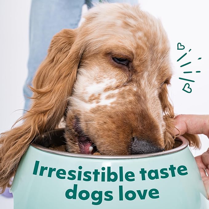 Optimeal Wet Dog Food Pouches - Grain Free Chicken & Beef Recipe, High Protein, Tender Morsels in Savory Sauce, Made with Natural Ingredients for Dogs, Premium Nutrition - 3 oz, Pack of 12