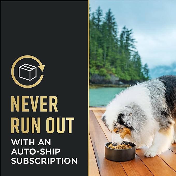 Purina Pro Plan Complete Essentials Shredded Blend Beef and Rice Dog Food Dry Formula with Probiotics for Dogs - 35 lb. Bag