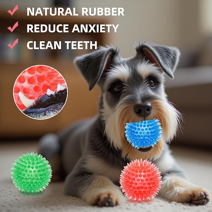 Labeol 2.6” Heavy Duty Squeaky Balls for Dogs 6 Pack Puppy Chew Toys for Teething TPR Fetch Spike Dog Balls Dog Chew Toys for Small and Mideum Breed