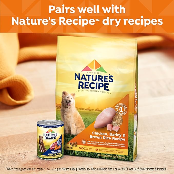 Nature’s Recipe Grain Free Wet Dog Food Beef, Sweet Potato, and Pumpkin Recipe, 13 oz. Can (Pack of 12)