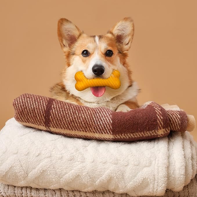 Playology Dog Toys | Dual Layer Bone Durable Chew Toy Bone for Dogs | Medium Pumpkin Spice Scented Toy - Easy to Clean and Made from Non Toxic Materials