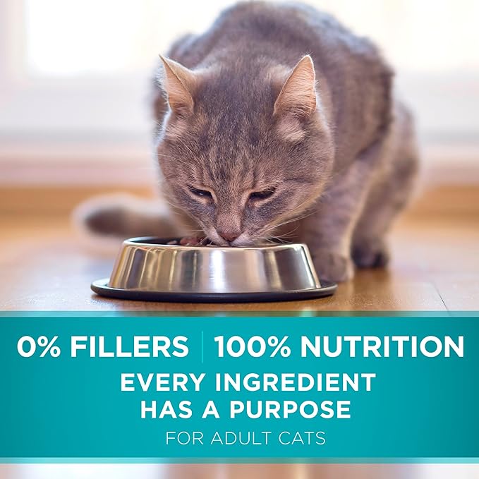 Purina ONE Natural Dry Cat Food, Tender Selects Blend with Real Salmon - 22 lb. Bag