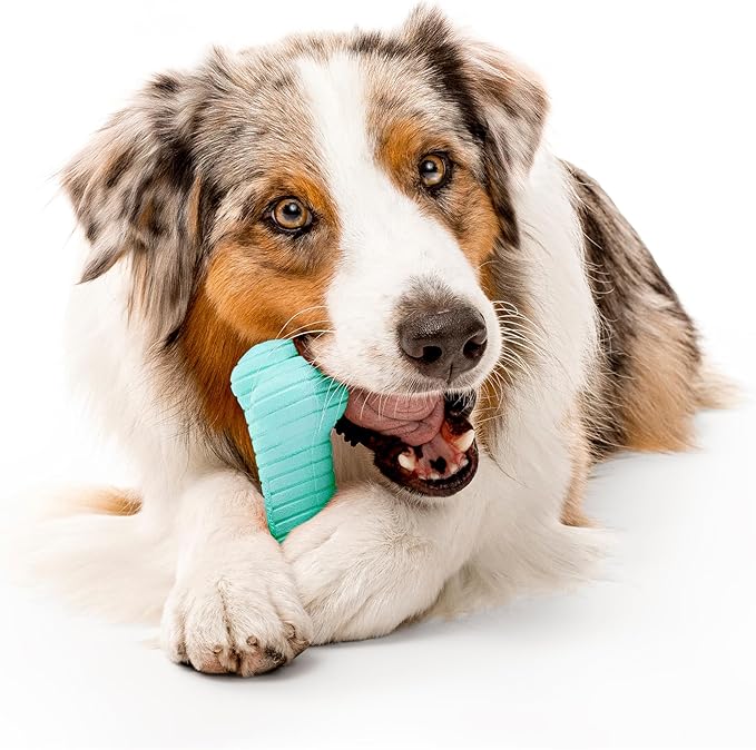 Playology Dog Toys | Dual Layer Bone Durable Chew Toy Bone for Dogs | Jumbo Peanut Butter Scented Toy - Easy to Clean and Made from Non Toxic Materials