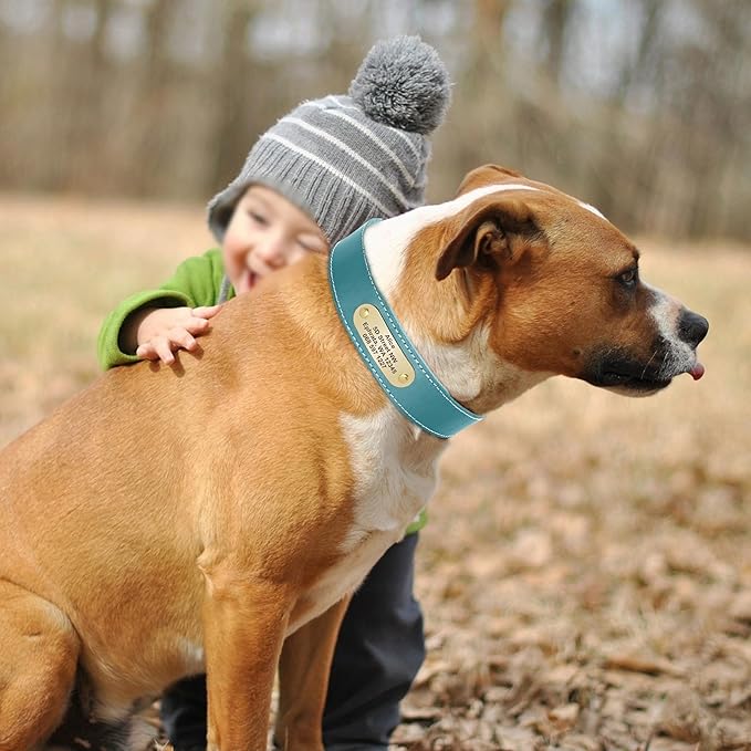 Didog Genuine Leather Dog Collars with Engraved Nameplate, Personalized Soft Leather Dog Collar with Custom ID Tag, Brown/Green/Red for Medium Large Dogs (L,Blue)