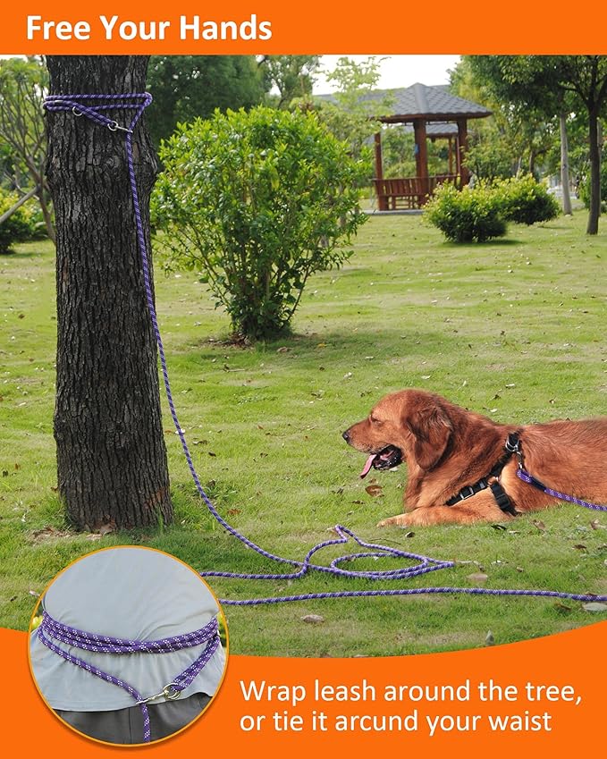 100FT Extra Long Leashes for Dog Training, Reflective Threads Check Cord Recall Training Agility Dog Lead for Large Medium Small Dogs, Dog Tie-Out Cable Great for Playing, Camping, or Backyard