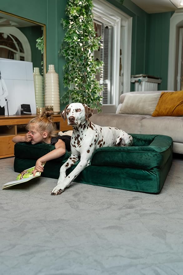 NOAH & PAW XL Dog Bed, 45x35x11 Inch, Orthopedic Large Dog Beds, Eggshell Memory Foam Infused with Cooling Gel, Inner Cover, Waterproof, Machine Washable (Velvet Sofa Collection)