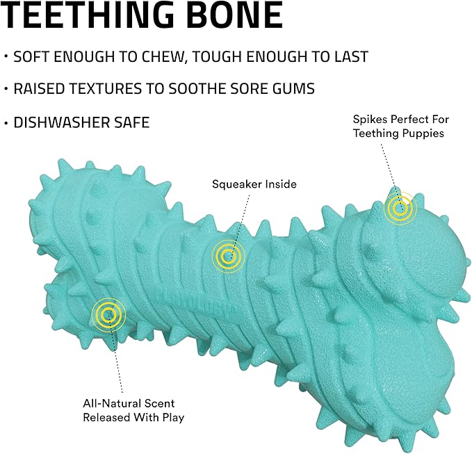 Playology Dog Toys | Puppy Toy Teething Bone Designed for Young & Active Dogs | Jumbo Peanut Butter Scented Toy Made from Non Toxic Materials