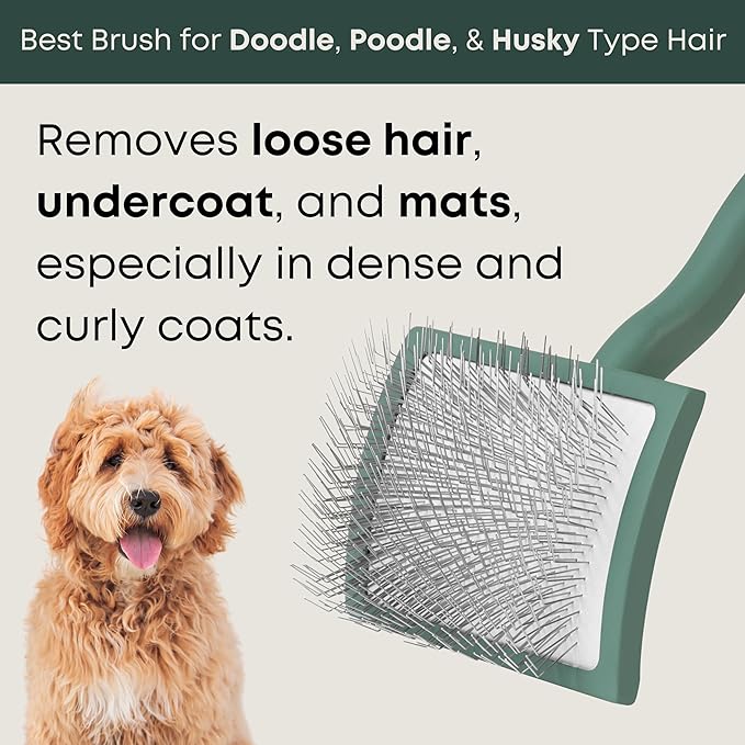 Freshly Bailey Doodle Brush for Goldendoodle, Poodle, and Labradoodle Coats - Best Slicker for Dogs With Wavy & Curly Hair - Detangle & Fluff Like a Pro - Grooming Must Haves (Large)
