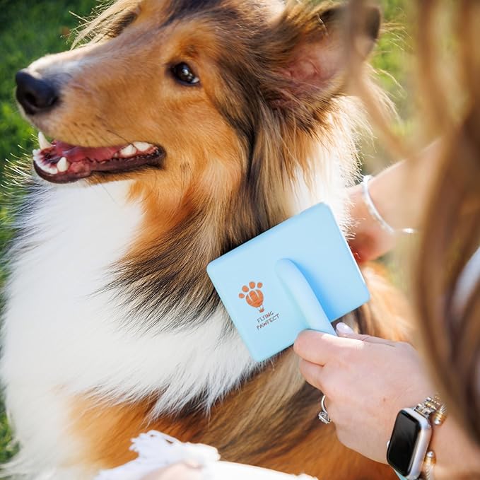 Pet Slicker Brush With Soft Massage Grooming Stainless Steel Pins - For Dematting, Shedding Fur, and Undercoat - Ideal Gift for Professional Pet Groomers - Long Slicker Brush