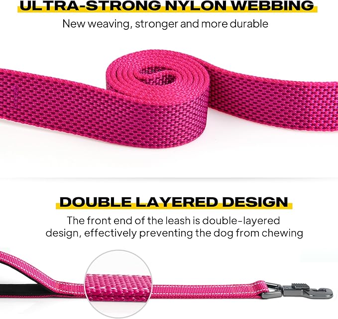 Fida 4 FT Heavy Duty Dog Leash with 2 Comfortable Padded Handles, Traffic Handle & Advanced Easy Snap Hook, Reflective Walking Lead for Large, Medium & Small Breed Dogs, Rose