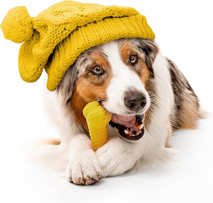 Playology Dog Toys | Dual Layer Bone Durable Chew Toy Bone for Dogs | Jumbo Apple Cider Scented Toy - Limited Edition Fall Scent | Easy to Clean and Made from Non Toxic Materials