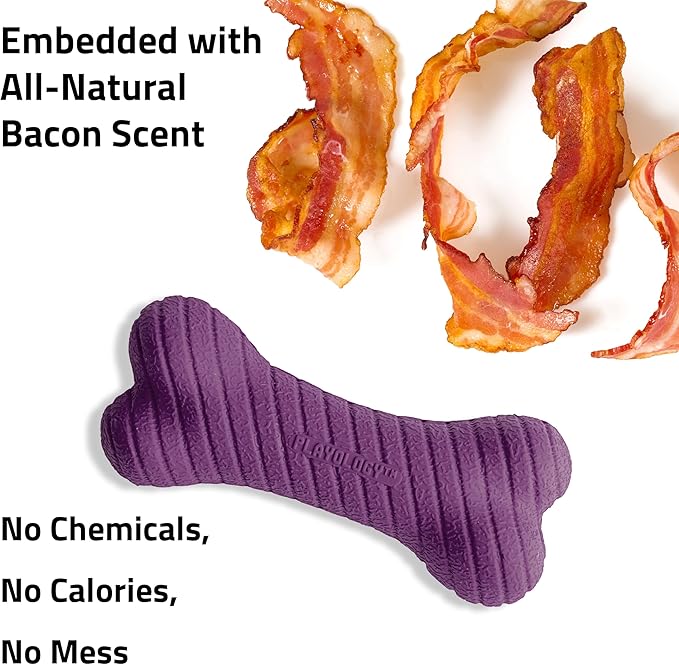 Playology Dog Toys | Dual Layer Bone Durable Chew Toy Bone for Dogs | Medium Bacon Scented Toy - Easy to Clean and Made from Non Toxic Materials