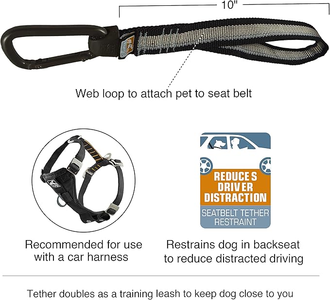Kurgo Swivel Tether - Strong Dog Restraint - Heavy Duty Car Leash - Aluminum Carabiner Clip - Anti-Twist Swivel Motion Seatbelt - Escape Resistant Dog Tether - Travel Restraint - Black/Gray