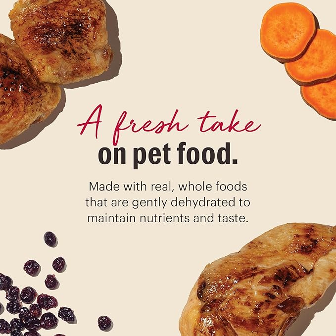 The Honest Kitchen Human Grade Dehydrated Grain Free Chicken Cat Food, 2 lb Box