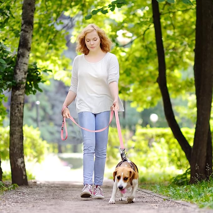 Fida 5 FT Heavy Duty Dog Leash with 2 Comfortable Padded Handles, Traffic Handle & Advanced Easy Snap Hook, Reflective Walking Lead for Large, Medium & Small Breed Dogs, Pink