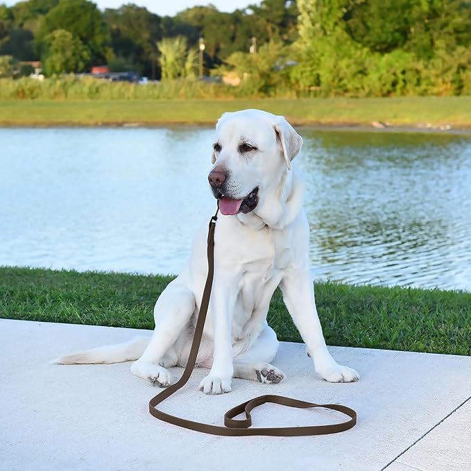 Dogline Biothane Waterproof Dog Leash Strong Coated Nylon Webbing with Black Hardware Odor-Proof Easy to Clean High Performance for Small or Large Dogs Made in USA 4 or 6 ft Lead, Dark Chocolate Brown