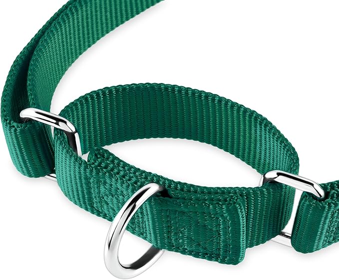 Hyhug Martingale Collar for Dogs Small Green |Escape - Proof Heavy Duty Nylon Durable No Buckle, Ideal for Training & Daily Walks