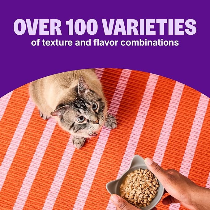 Wellness CORE Signature Selects Flaked Adult Wet Cat Food, Natural, Protein-Rich, Grain Free, 2.8 Ounce, 8 Pack (Seafood Variety Pack)