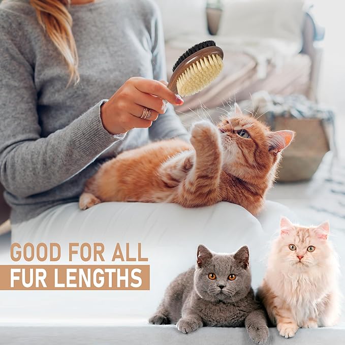 TAKAVU Double-Sided Boar Bristle Cat Brush - Natural Grooming Tool for Gentle Cleaning, Shine & Reduced Loose Hair - Wood Handle Pet Brush
