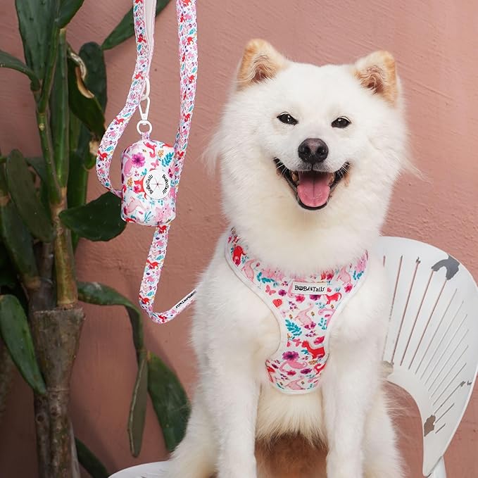 Dinosaur Printed Dog Harness with D-Ring Leash Clip Set,Adjustable Soft Padded and Cotton Fabric Pet Vest Harnesses for Medium Size Dog (White, Medium)