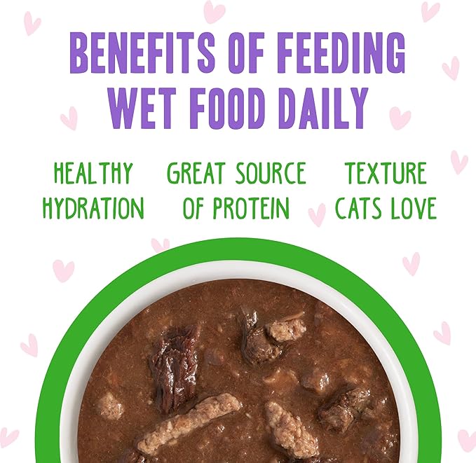 Weruva B.F.F. OMG - Best Feline Friend Oh My Gravy!, Tuna & Lamb Lights Out with Tuna & Lamb, 5.5oz Can (Pack of 8)