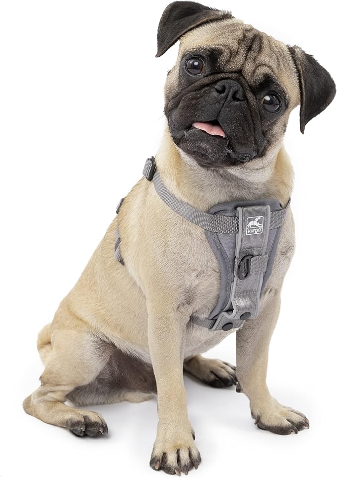 Kurgo Tru-Fit Smart Dog Walking Harness - Comfortable Fit - Adjustable Harness - Reflective Pet Wear - Quick Strap Release - Daily Walk Accessory - Includes Seat Belt Loop - Grey - Small