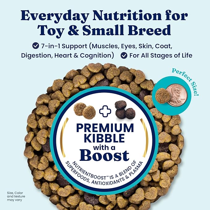 Solid Gold Toy & Small Breed Dry Dog Food Small Bites – Real Lamb, Grain Free, Gluten Free, High Fiber Healthy Kibble w/Probiotics for Gut Health & Digestion Support– All Ages NutrientBoost™ –11LB