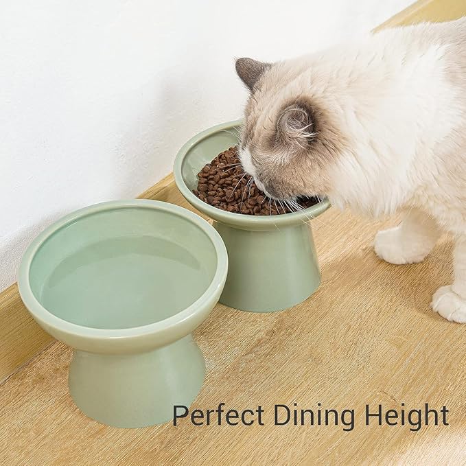 2 Elevated Ceramic Cat Bowls Extra Wide for Food & Water – Whisker Fatigue Shallow Food Dish, Lead & Cadmium-Free, Raised Height for Cats, Sage Green