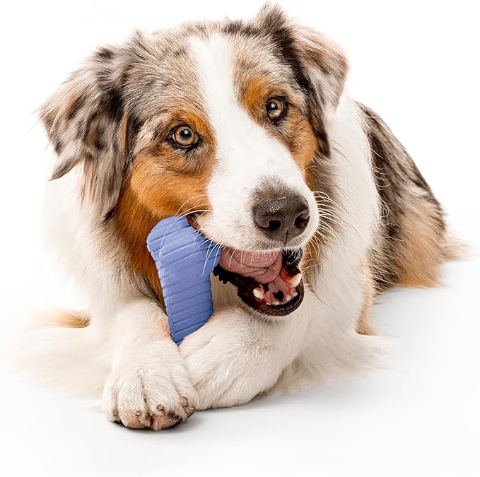 Playology Dog Toys | Dual Layer Bone Durable Chew Toy Bone for Dogs | Jumbo Blueberry Scented Toy - Easy to Clean and Made from Non Toxic Materials